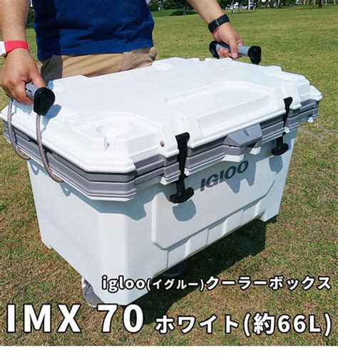 Imx 20