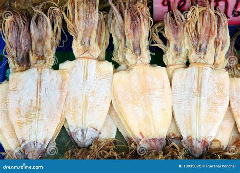 Drying Squid For Sale At A Market Stock Photo Image Of Grilled