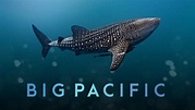 Big Pacific (Series) - NHNZ / PBS / Discovery