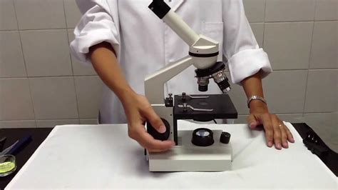 Competencia Metano Escribe Un Reporte Microscopio Optico Dibujo Y Sus