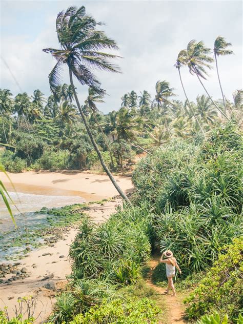 Talalla Beach Sri Lanka Tropical Paradise Sunshine Seeker