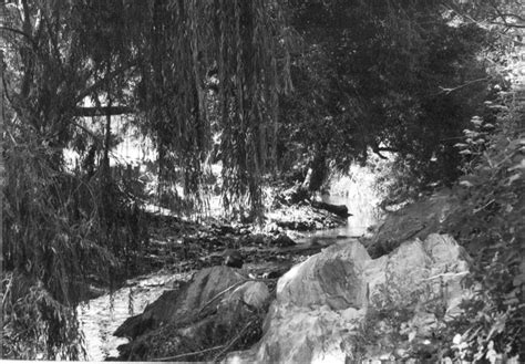 Darebin Creek 10th February 1976 Laurie Course Et Al 1976