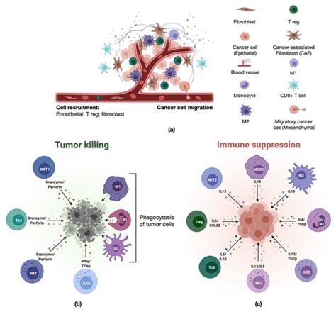 Ijms Free Full Text Current And Prospective Methods For Assessing