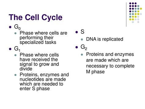 Cancer cell growth differs from normal cell growth and the number of mitotic divisions are unlimited. PPT - Chromosome Packaging, The Cell Cycle, Mitosis, & Cancer PowerPoint Presentation - ID:436387