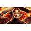 The Hunger Games 5 Most Likable Characters & Fans Can’t Stand