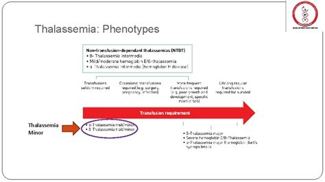 Diagnosis Of Thalassemia And Related Hemoglobin Disorders Dr