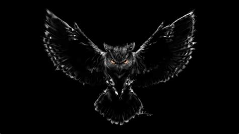 Scary Owl Wallpapers Wallpapers Hd