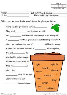 Science worksheets listed by specific topic area. PrimaryLeap.co.uk - How do plants grow Worksheet | Science ...