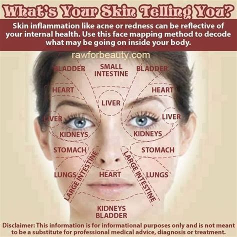 Acne Face Map Whats Your Skin Telling You How To Instructions