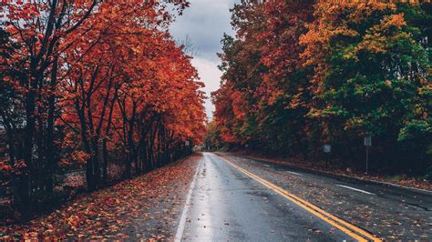 1920x1080 Autumn Road Trees On Sides Fallen Leaves Laptop Full Hd 1080p Hd 4k Wallpapers Images