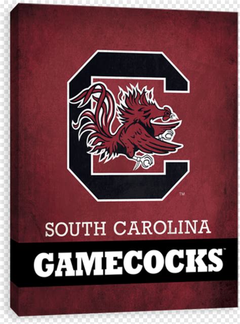 South Carolina South Carolina Logo North Carolina Outline South