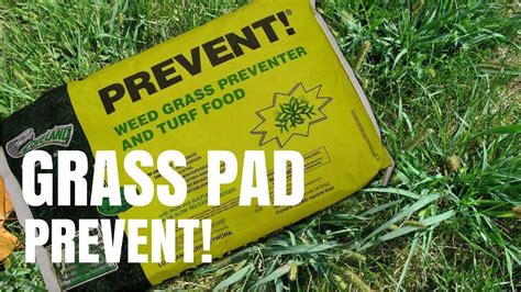 Grass Pad Prevent Crabgrass Youtube