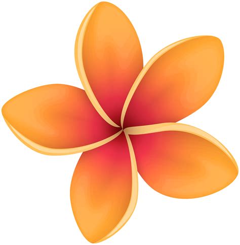 Clipart Tropical Flowers