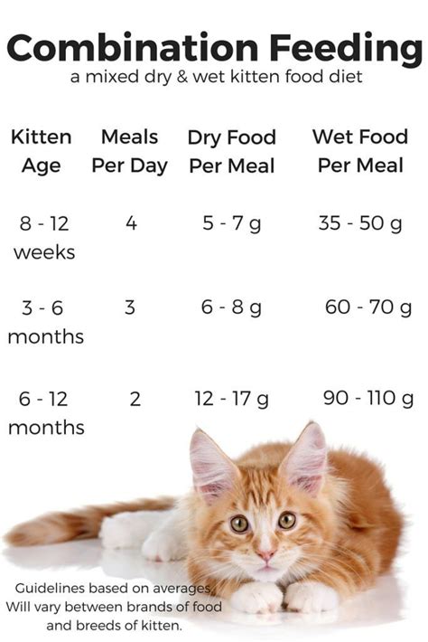 Feeding your cat at set meal times with their daily food ration spread out between meals is another option. Feeding Your Kitten - Helpful Kitten Feeding Schedules and ...