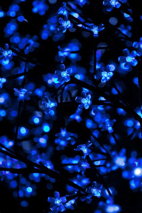 Download Cool Neon Blue Flowers Wallpaper