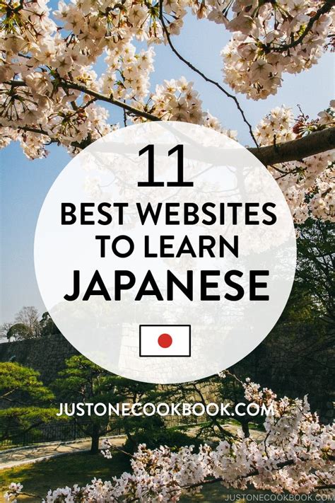 11 Best Websites To Learn Japanese 2023