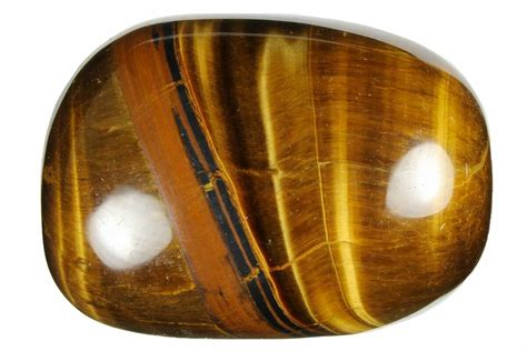 Large Tumbled Tiger S Eye Stones For Sale FossilEra Com