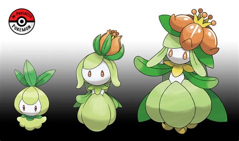 548 549 Petilil Line By Inprogresspokemon On Deviantart