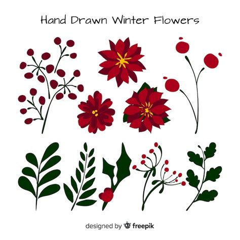 Free Vector Winter Flowers Collection