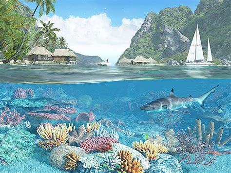Caribbean Islands 3d Screensaver Download Animated 3d