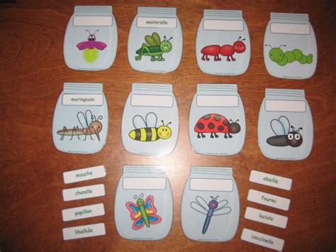 Bocaux Identification Dinsectes Insects Preschool Kindergarden