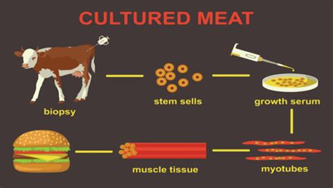 Usda Fda Team Up To Hear Comments About What Can Be Called Meat
