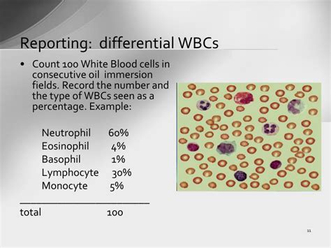 Ppt Cell Count And Wbc Differential Count Powerpoint Presentation