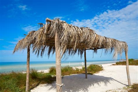 Premium Photo Holbox Island Beach Hut Palapa In Mexico