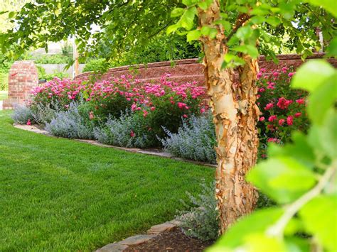 Sues Gardens In Arkansas One Year Later Finegardening Knockout