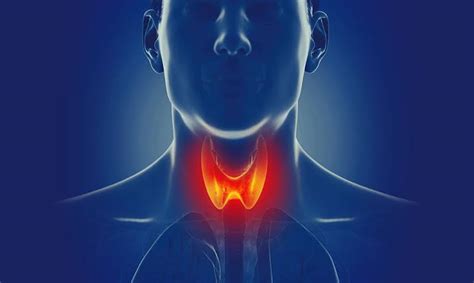 Understanding Thyroid Diseases Causes Symptoms And Treatment