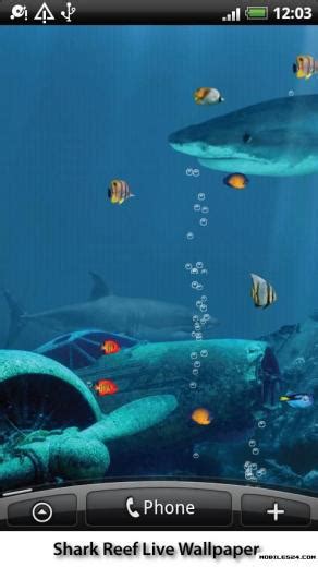 Como Activar Sharks 3d Live Wallpaper And Screensaver Portpearl