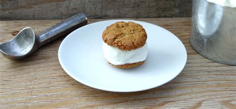 Gluten Free Ice Cream Sandwiches Recipe Simply Southern Mom
