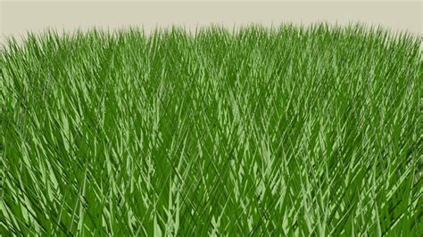 Sketchup Components 3d Warehouse Grass 3d Patch Of Grass