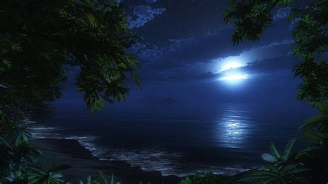 Moonlight Wallpapers Photos And Desktop Backgrounds Up To 8k