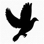 Dove Silhouette Bird Icon Thenounproject Icons Vectorified