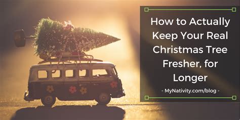 How To Actually Keep Your Real Christmas Tree Fresher For Longer Mynativity