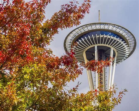 Autumn In Seattle By Kyle Wasielewski Cityscape Fall Colors Seattle