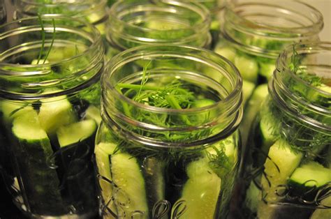 5 Other Blogs On Canningpickling Jughandles Fat Farm