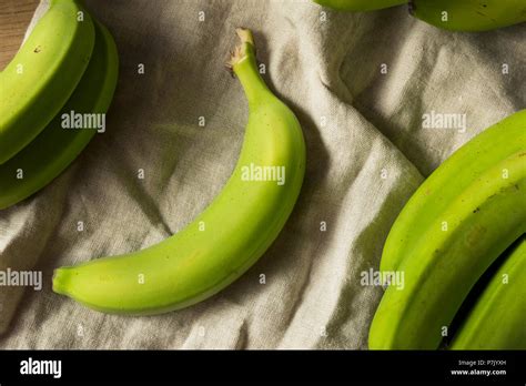 Organic Raw Green Unripe Bananas In A Bunch Stock Photo Alamy