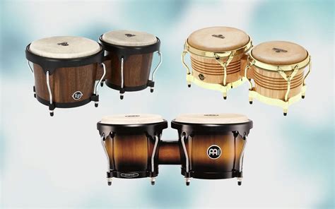 5 Best Bongos For All Budgets