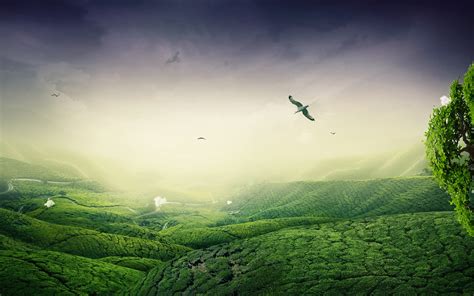 Green Landscape Wallpaper High Definition High Quality Widescreen