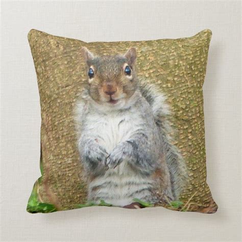 Cute Squirrel Throw Pillow Zazzle Throw Pillows Cute Pillows Pillows