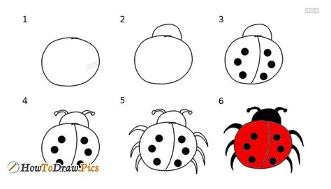 Ladybug Drawing Step By Step At Explore Collection