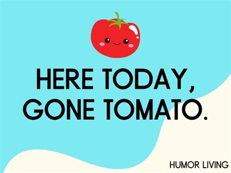 45 Funny Tomato Puns Too Juicy To Skip Humor Living