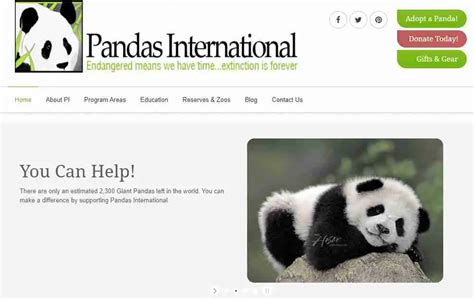 Are Giant Pandas Endangered In 2021 Solved