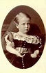 Prince Friedrich of Hesse-Darmstadt (1870-1873). | Queen victoria ...