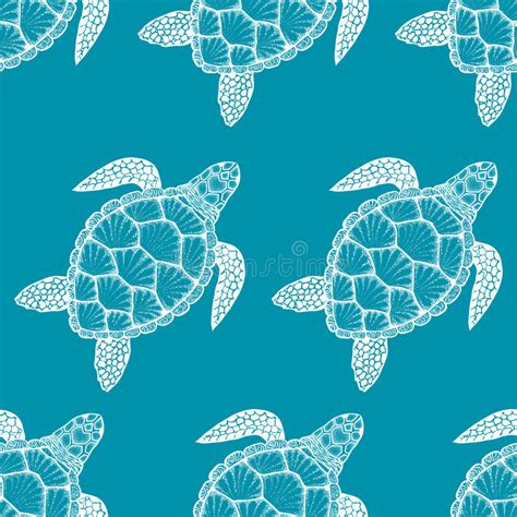 Sea Turtle Vector Stylized Drawing Stock Illustrations 436 Sea Turtle