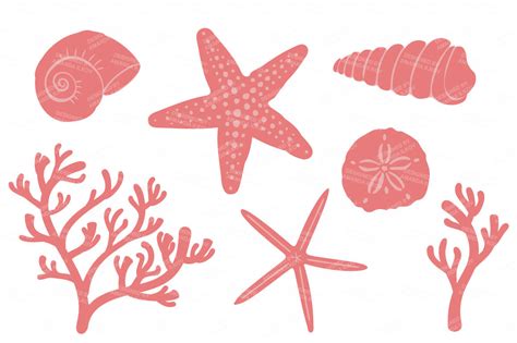 Seashore Shells And Coral Clipart In Vintage By Amanda Ilkov