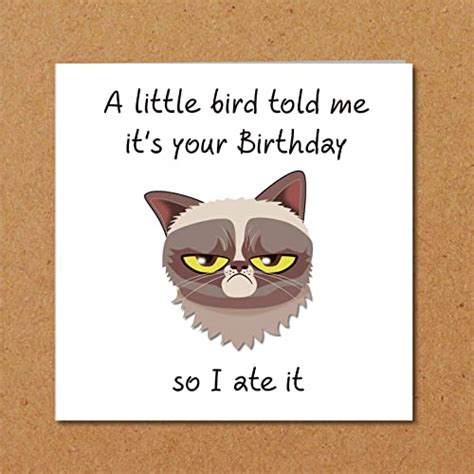 Grumpy Cat Birthday Card For Anyone Who Loves Cats Funny Humorous Fun Grouchy Bad Tempered