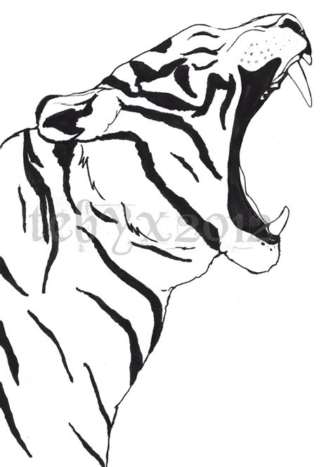 16 Line Art Psd Tiger Deviantart Images Transparent Tiger Line Art